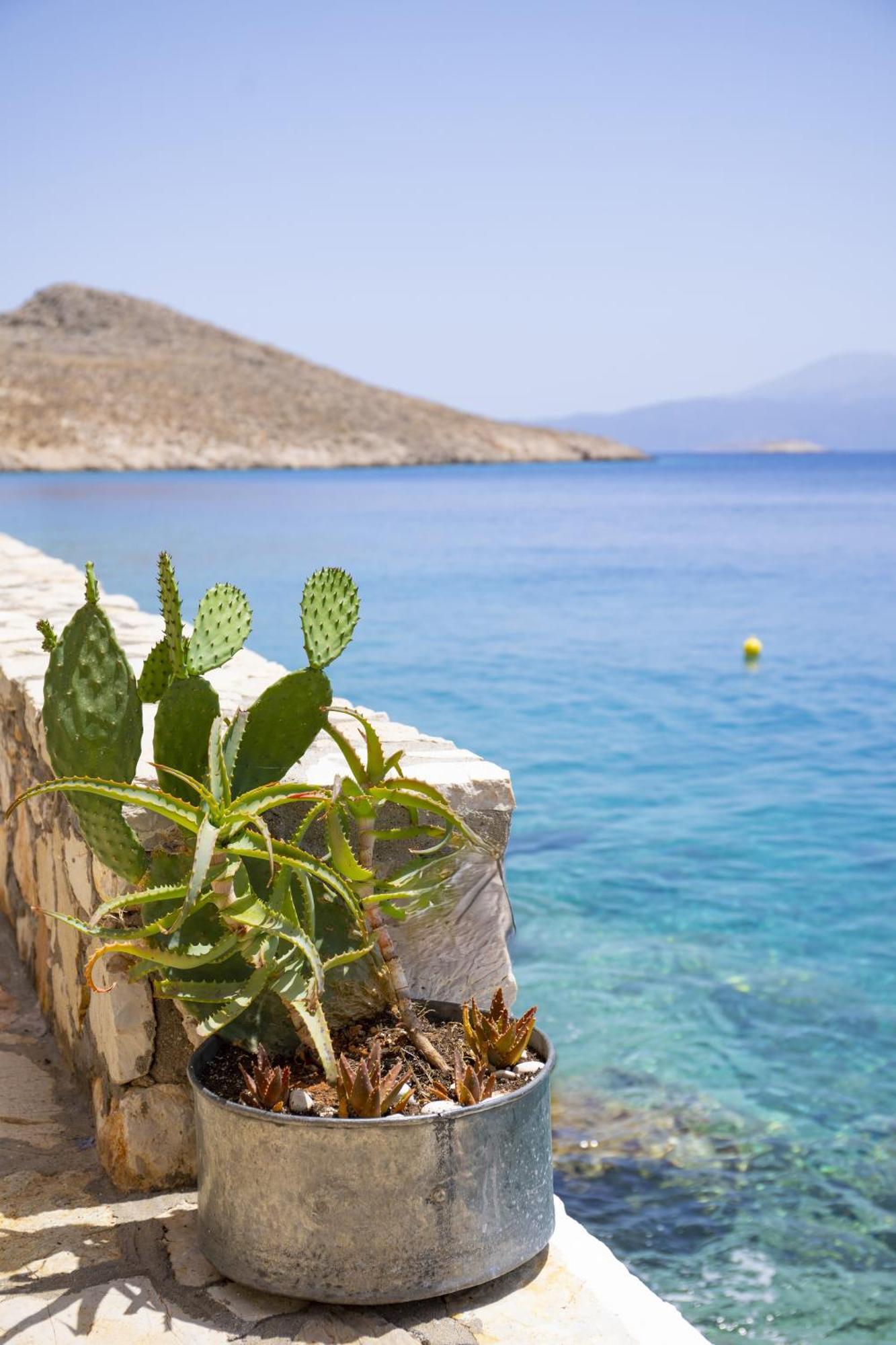 Villa Electra Χάλκη Εξωτερικό φωτογραφία